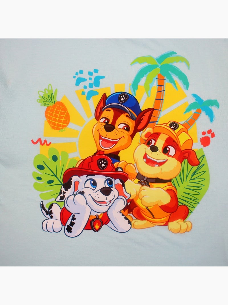 Paw Patrol - T shirt infantil Patrulha Pata Azul - Kiabi
