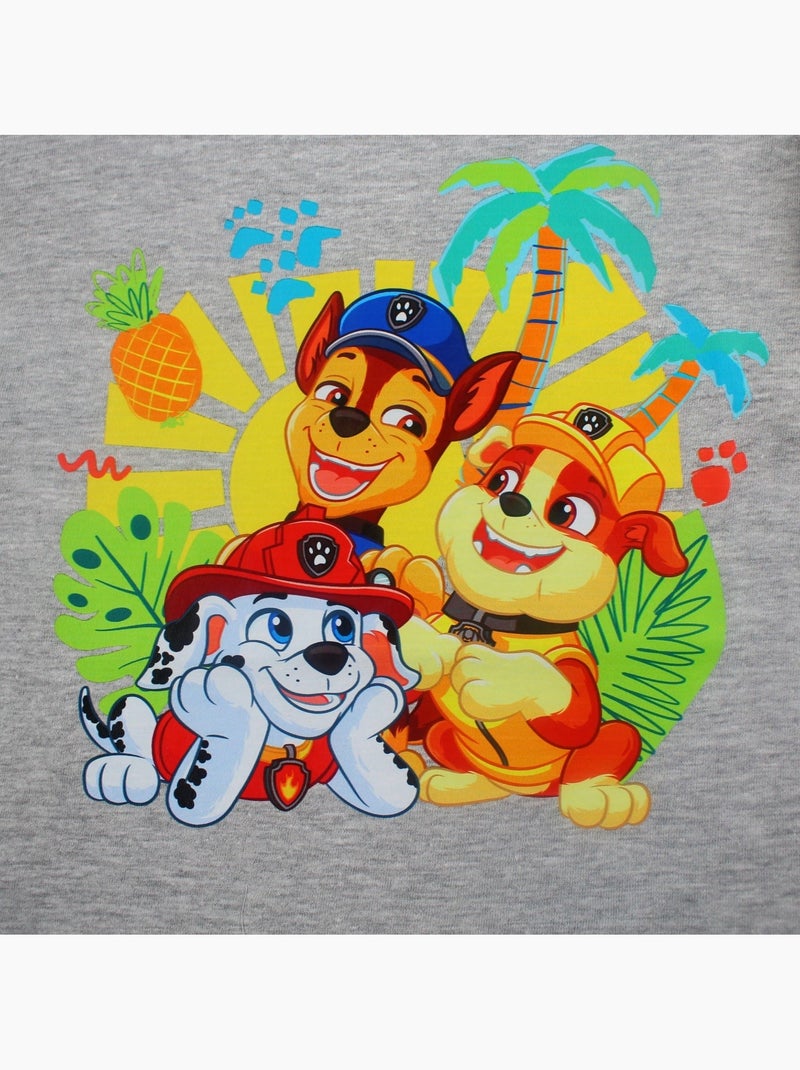 Paw Patrol - T shirt infantil Patrulha Pata Cinza - Kiabi