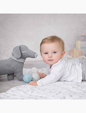 Peluche filhote de dachshund em algodão orgânico tricotado | sevira kids