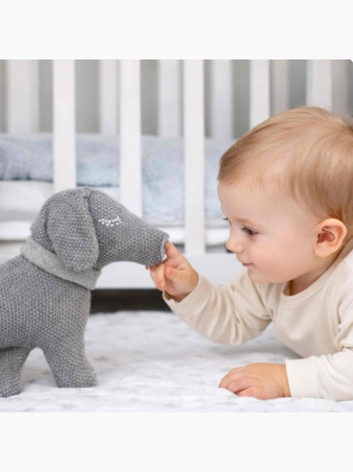 Peluche filhote de dachshund em algodão orgânico tricotado | sevira kids - Kiabi Peluche filhote de dachshund em algodão orgânico tricotado | sevira kids - Kiabi