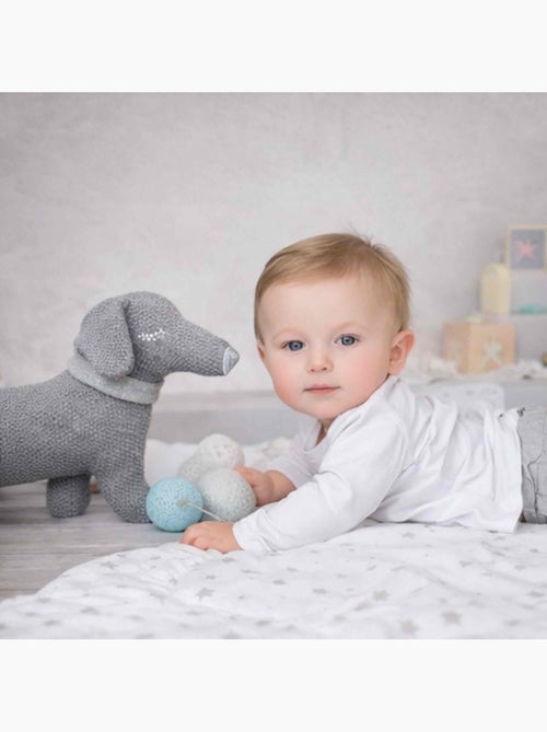Peluche filhote de dachshund em algodão orgânico tricotado | sevira kids - Kiabi Peluche filhote de dachshund em algodão orgânico tricotado | sevira kids - Kiabi