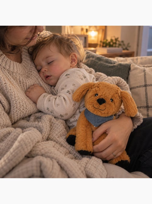 Peluche térmico cão com almofada amovível - Kiabi Peluche térmico cão com almofada amovível - Kiabi