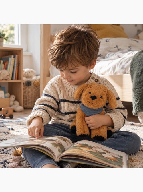 Peluche térmico cão com almofada amovível - Kiabi Peluche térmico cão com almofada amovível - Kiabi