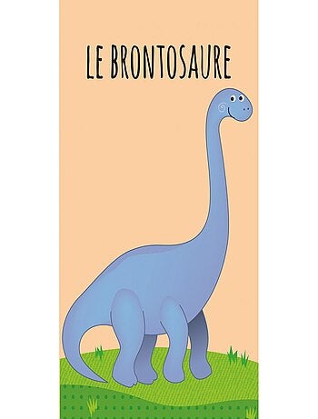 Pequena estante bebê dinossauros | sassi junior