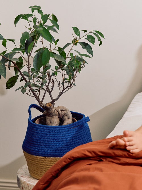 Pequeno cesto de arrumação - Kiabi