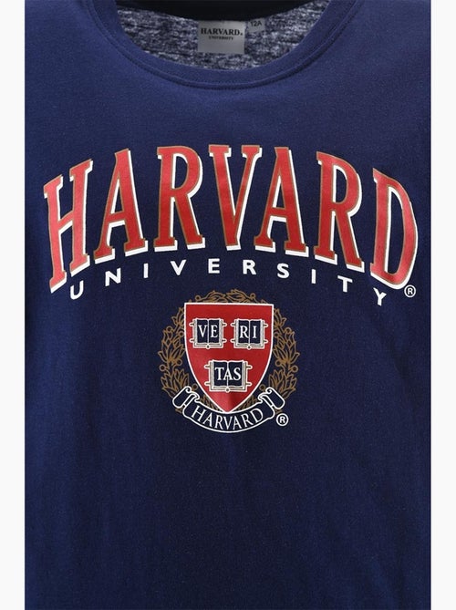 Pijama harvard menino | licença oficial - Kiabi Pijama harvard menino | licença oficial - Kiabi
