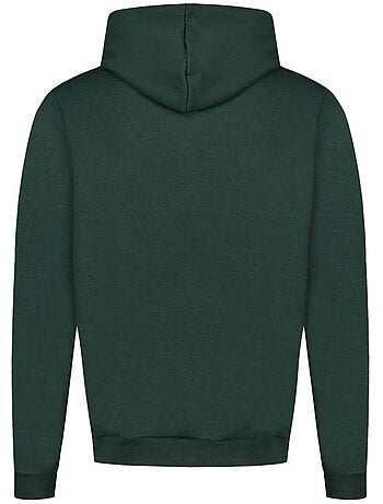 Sweat com Capuz Le Coq Sportif Contemporain N°1 Verde para Homem