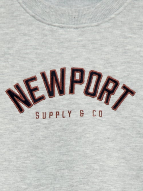 Sweat de moletom com estampado de veludo - Kiabi