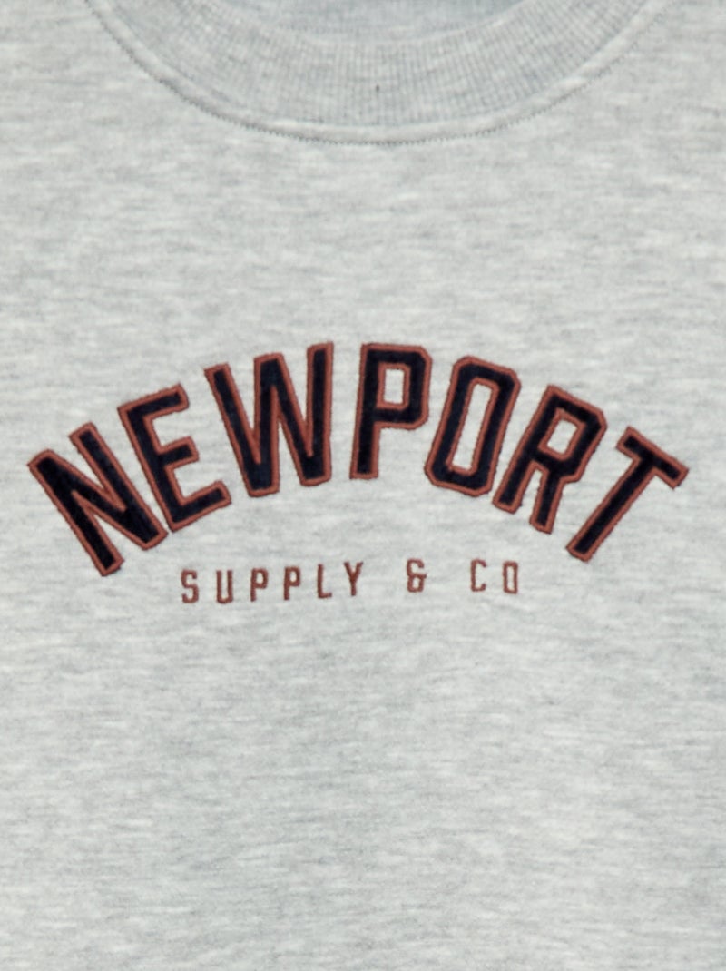 Sweat de moletom com estampado de veludo Cinza - Kiabi