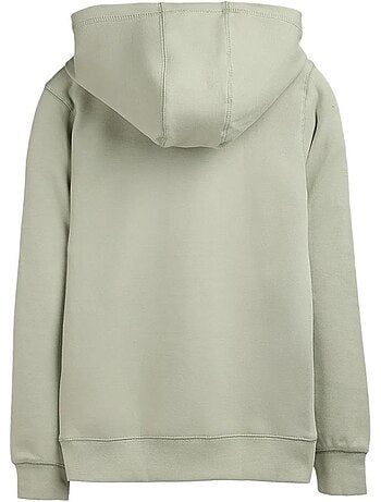 Sweat com capuz mauve para rapaz teddy smith evry1