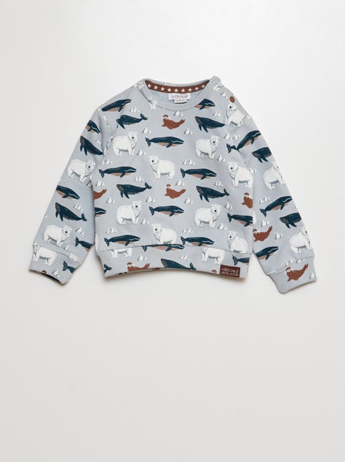 Sweatshirt 'animais do gelo marinho' - Kiabi