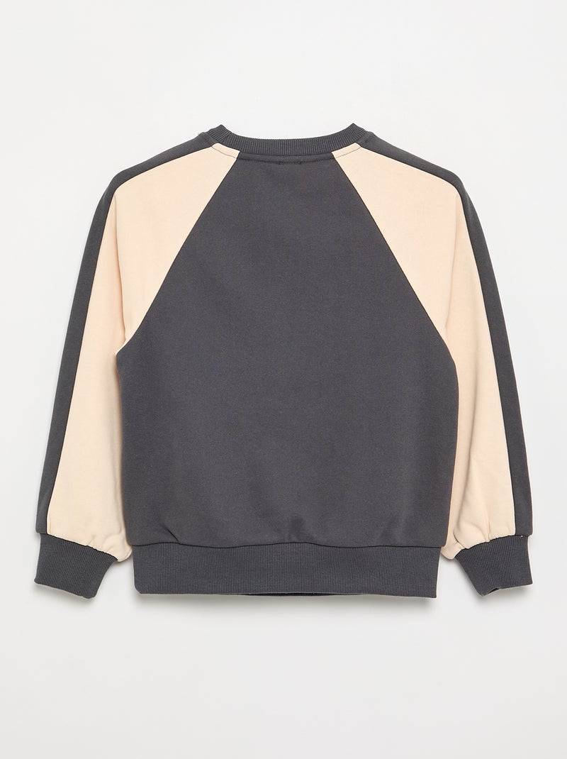 Sweatshirt bicolor com estampado Cinza - Kiabi