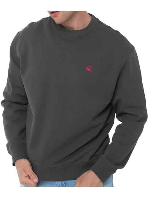 Sweatshirt cinzento antracite calvin klein para homem - Kiabi Sweatshirt cinzento antracite calvin klein para homem - Kiabi
