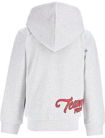 Sweatshirt com capuz com fecho paw patrol cinzento menino | licença oficial