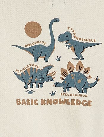 Sweatshirt com capuz em malha french terry