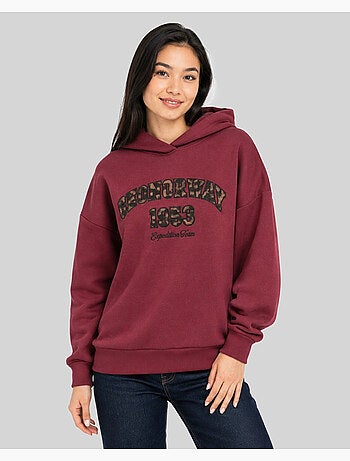 Sweatshirt com capuz gaphir – geographical norway