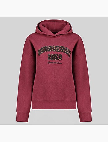 Sweatshirt com capuz gaphir – geographical norway