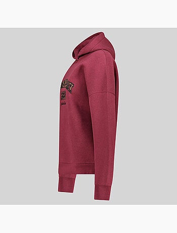 Sweatshirt com capuz gaphir – geographical norway