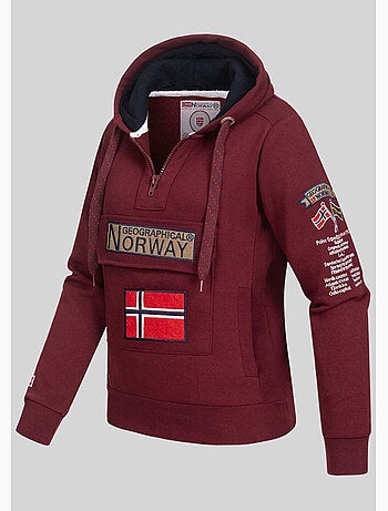 Sweatshirt com capuz gymclass – geographical norway