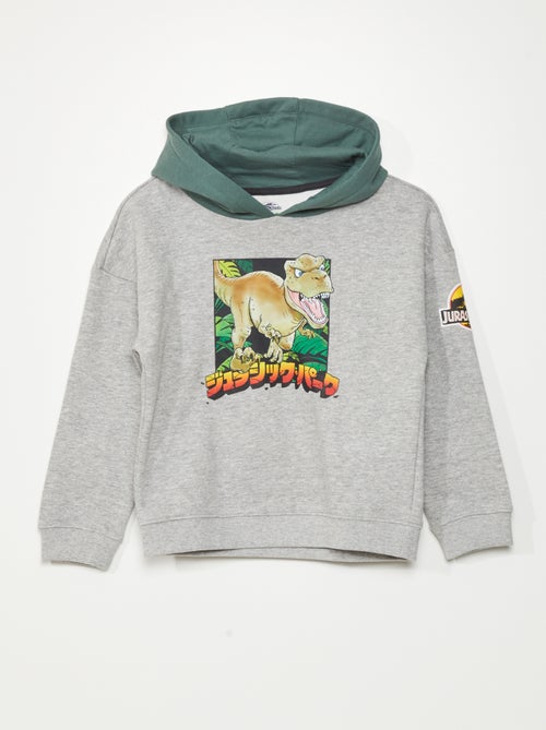 Sweatshirt com capuz 'Parque Jurássico' - Kiabi