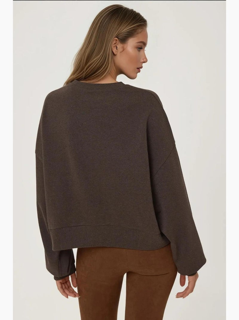 Sweatshirt com gola redonda bordado hiccup Castanho-escuro - Kiabi