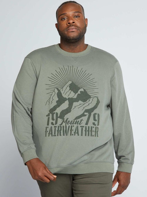 Sweatshirt com um estampado de feltro - Kiabi