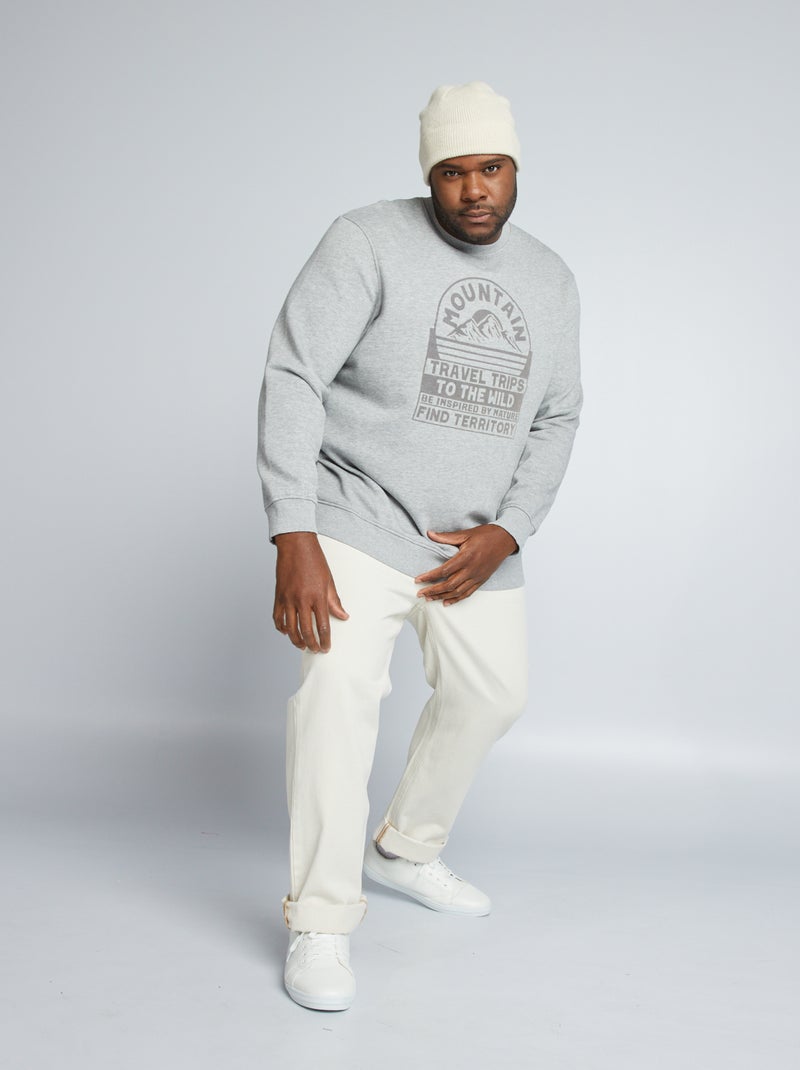 Sweatshirt com um estampado de feltro CINZA - Kiabi