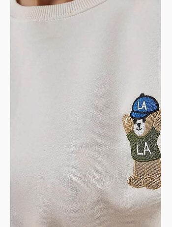 Sweatshirt de algodão bordado hiccup
