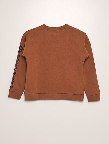Sweatshirt de gola redonda 'Parque Jurássico'