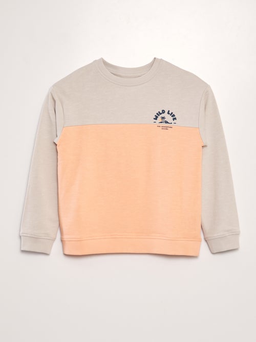 Sweatshirt em French Terry estilo color-block - Kiabi