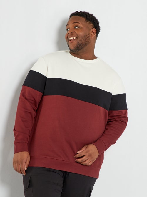 Sweatshirt em moletão color-block - Kiabi
