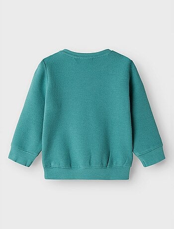Sweatshirt em moletão 'Guppy'