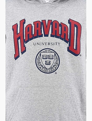 Sweatshirt harvard menino | licença oficial