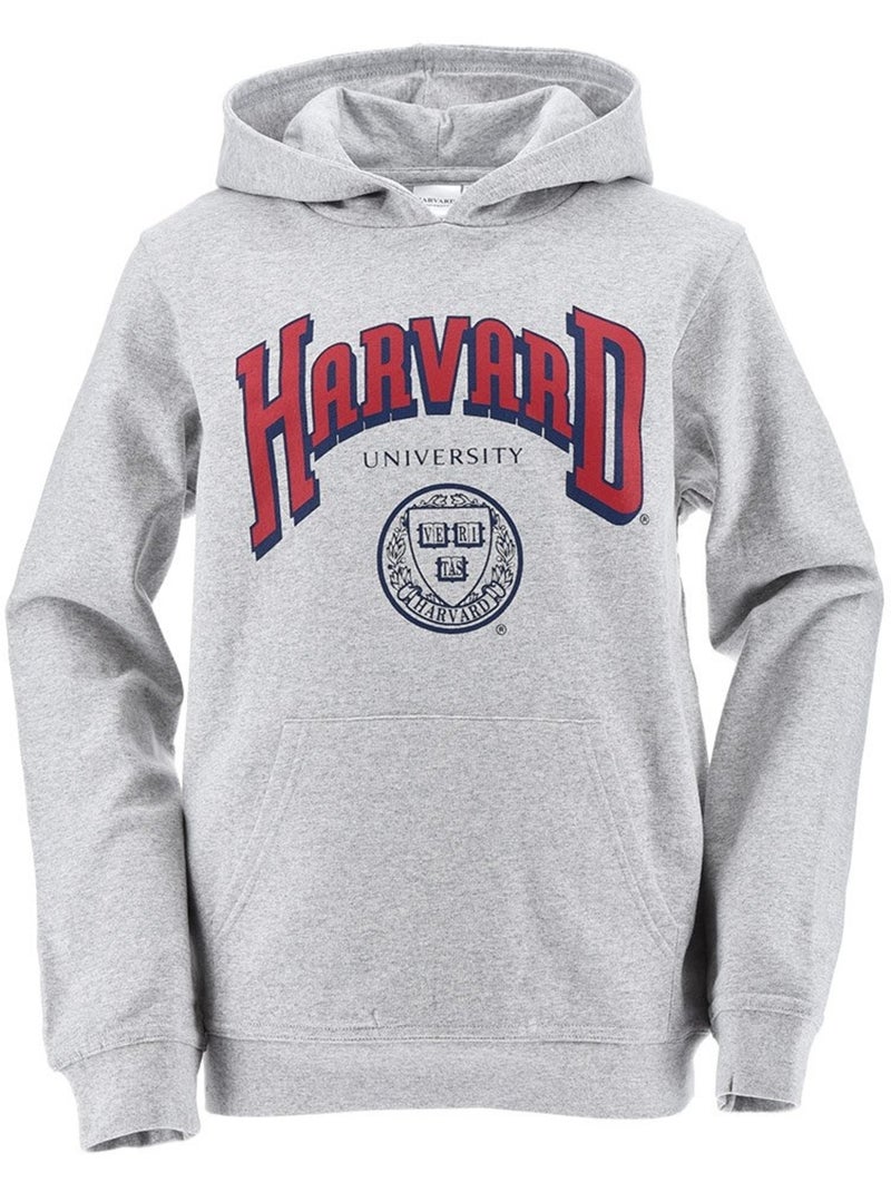 Sweatshirt harvard menino | licença oficial Cinza - Kiabi