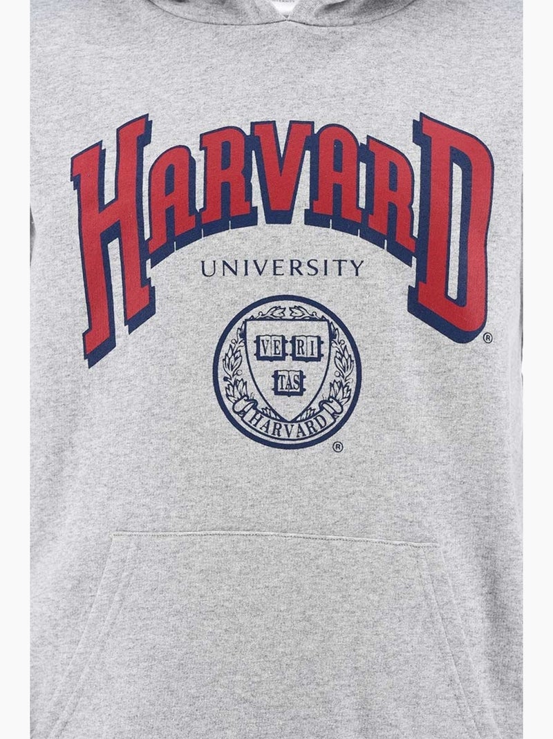 Sweatshirt harvard menino | licença oficial Cinza - Kiabi