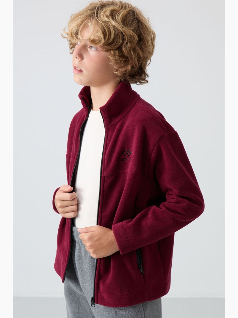 Sweatshirt infantil com gola fecho tommy Vermelho bordô - Kiabi