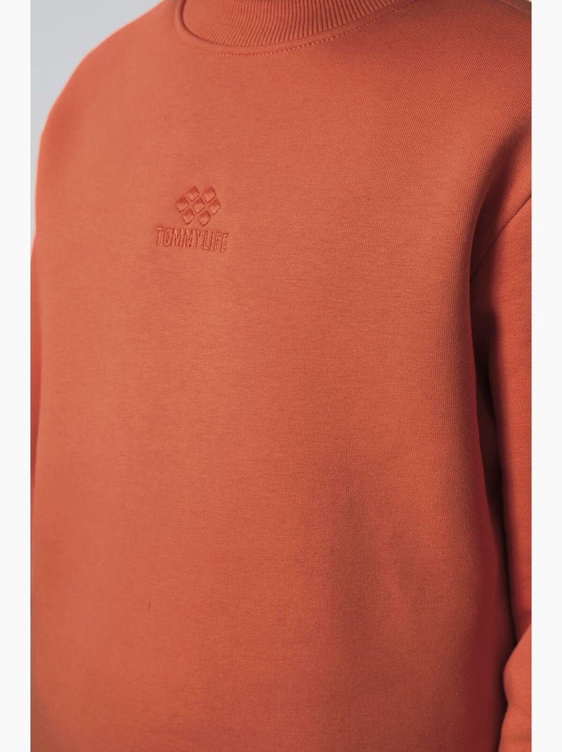 Sweatshirt infantil gola redonda bordada tommy Terracota - Kiabi