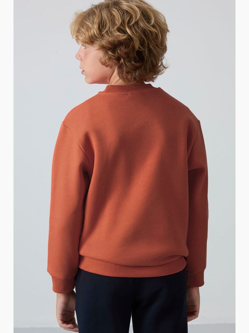 Sweatshirt infantil gola redonda bordada tommy Terracota - Kiabi