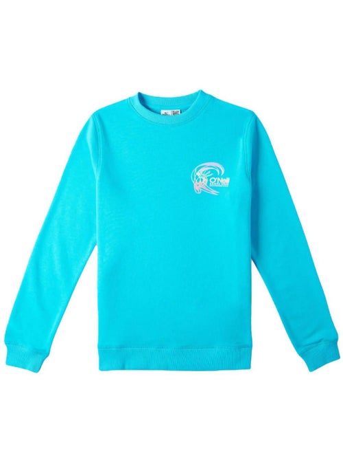 Sweatshirt turquesa menina o'neill circle surfer 16 anos - Kiabi Sweatshirt turquesa menina o'neill circle surfer 16 anos - Kiabi