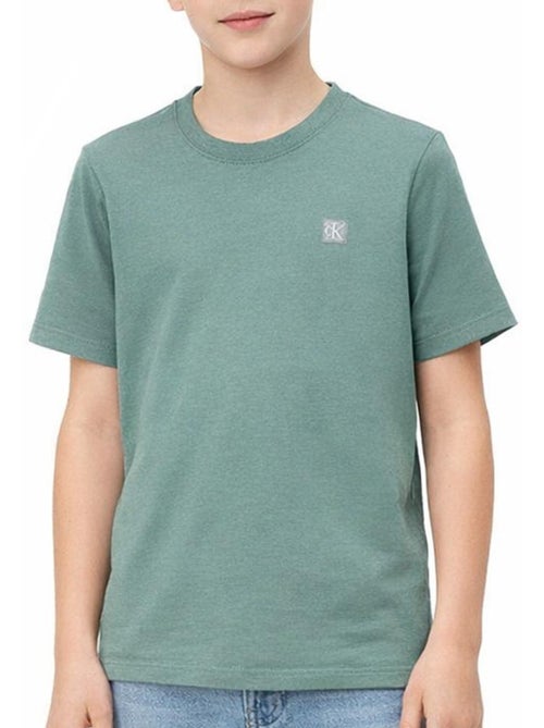 T-shirt Calvin Klein Jeans Verde para Rapaz IU0IU00543 - Kiabi T-shirt Calvin Klein Jeans Verde para Rapaz IU0IU00543 - Kiabi