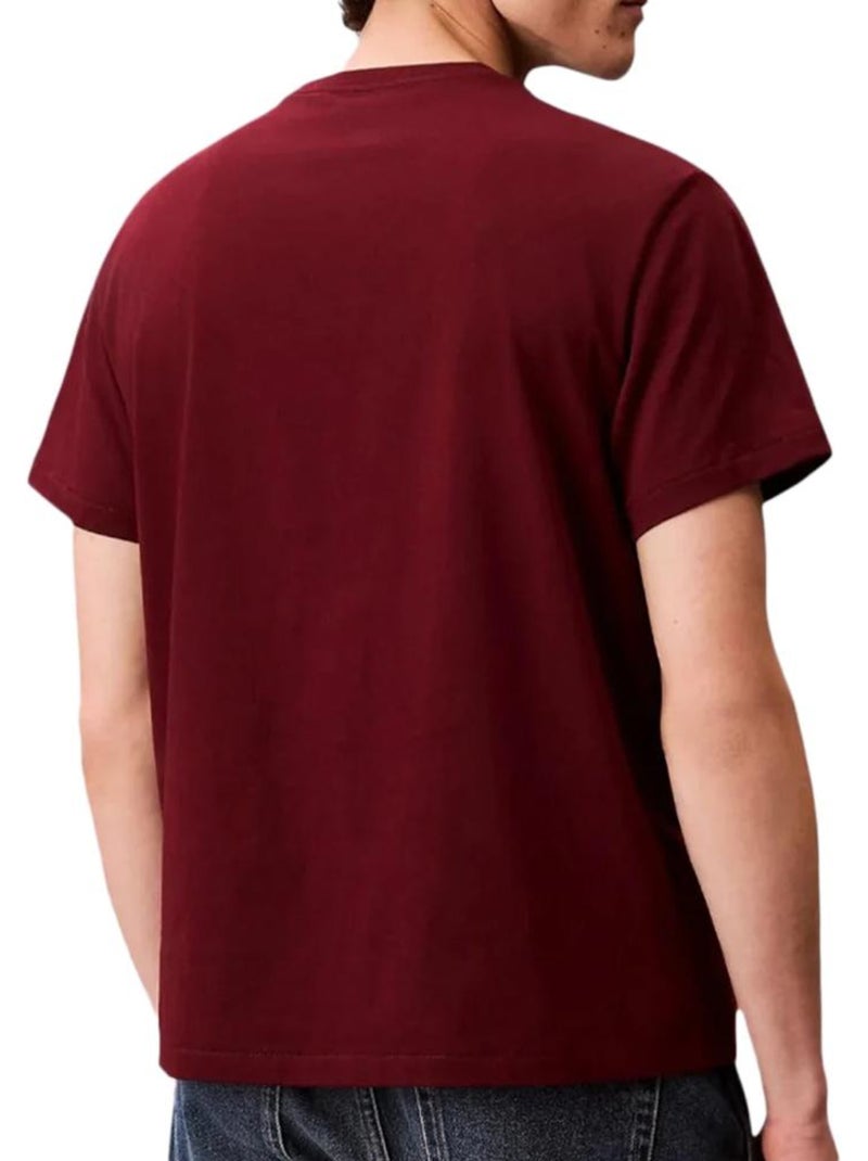 T-Shirt Calvin Klein Jeans Vermelha para Homem Easy LV04RC275G Vermelho - Kiabi
