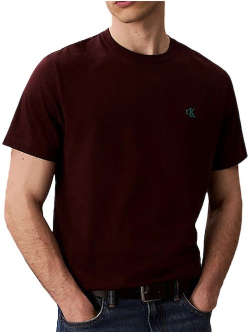 T-Shirt Castanha Calvin Klein Jeans Easy para Homem LV04RC275G - Kiabi