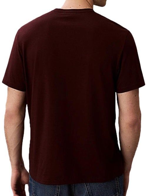 T-Shirt Castanha Calvin Klein Jeans Easy para Homem LV04RC275G - Kiabi
