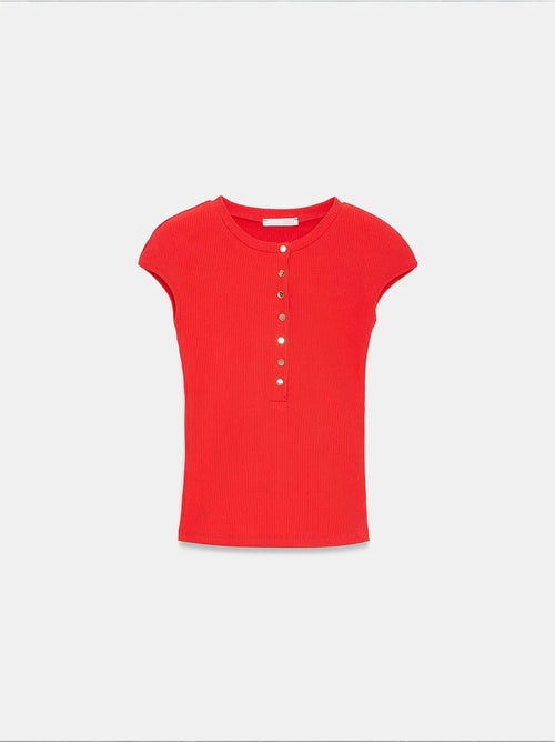 T-shirt de gola redonda em jersey de algodão ajustada dilvin - Kiabi T-shirt de gola redonda em jersey de algodão ajustada dilvin - Kiabi