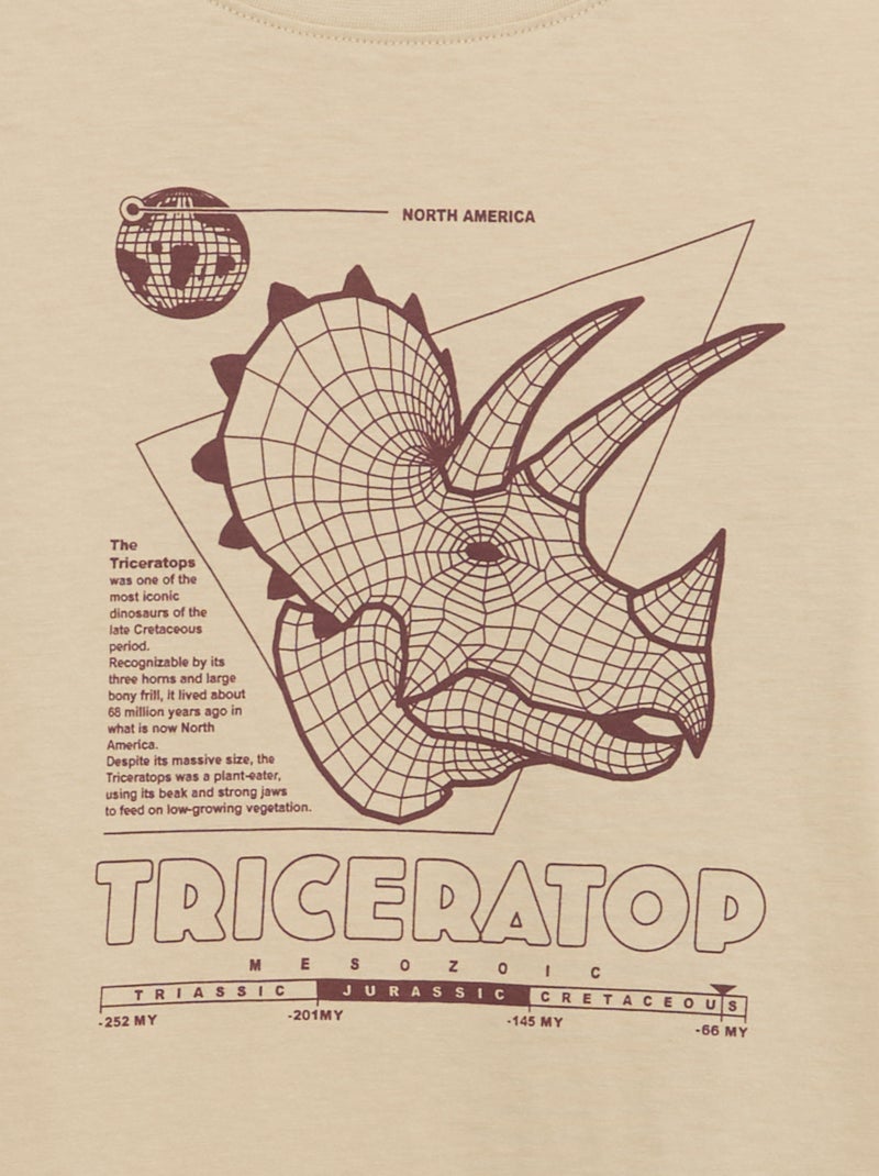 T-shirt de manga comprida estampada Bege - Kiabi