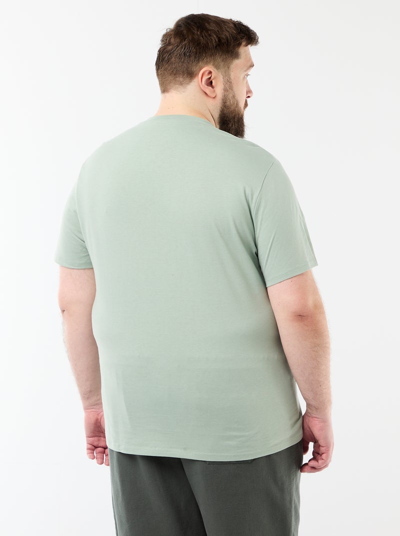 T-shirt de manga curta estampada Verde - Kiabi