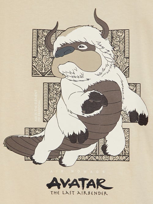 T-shirt estampada 'Avatar o último Airbender' - Kiabi