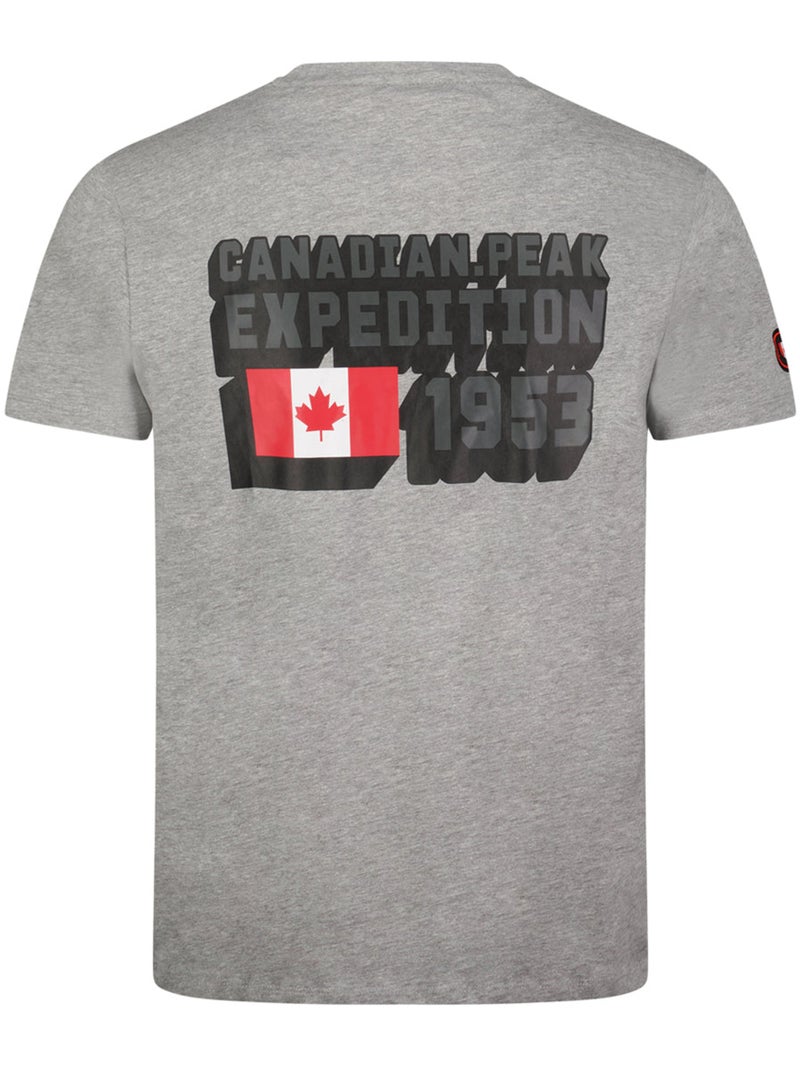 T-shirt estampada jistereak – canadian peak Cinza claro - Kiabi