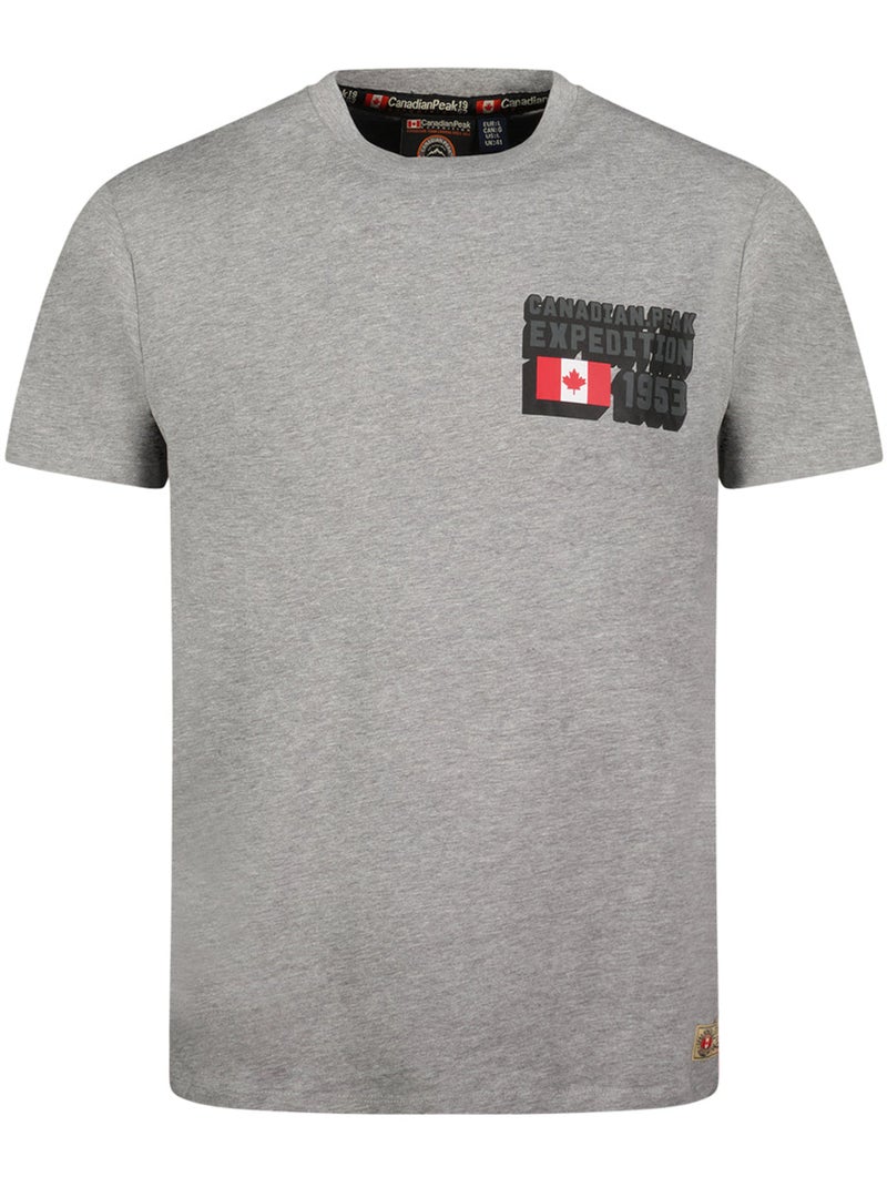 T-shirt estampada jistereak – canadian peak Cinza claro - Kiabi