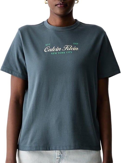 T-shirt feminina calvin klein jeans classic script cinzenta - Kiabi